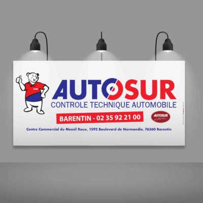 panneau alvéolaire autosur